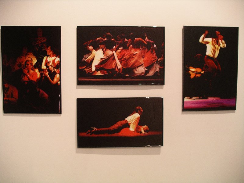 Andalusie 2011 012 (6).JPG